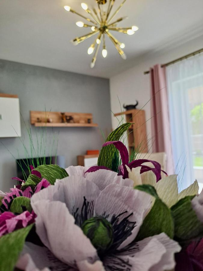Green View Bella Vista Brasov Exterior photo